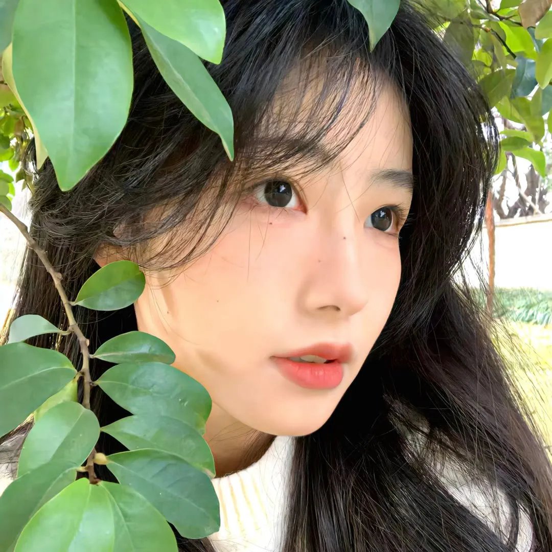 谍网妖姬